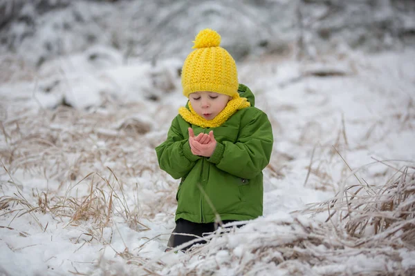 Tatlı Çocuk Soğuk Karlı Bir Günde Kış Ormanında Oynuyor — Stok fotoğraf