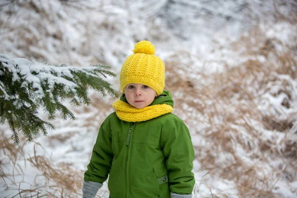 Schattig Kind Spelend Het Winterbos Tijdens Een Koude Sneeuwdag — Stockfoto