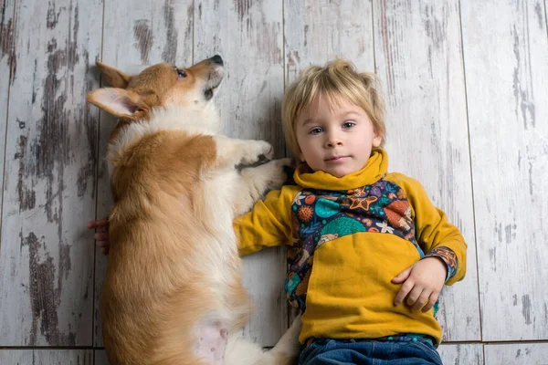 Niño Perro Niño Cachorro Jugando Juntos Casa Toma Estudio —  Fotos de Stock