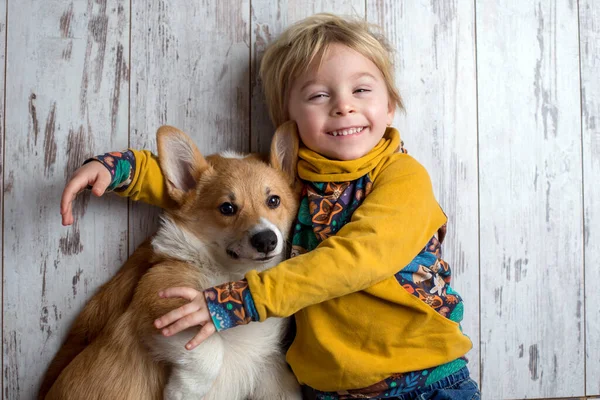 Enfant Bas Âge Chien Garçon Chiot Jouant Ensemble Maison Plan — Photo