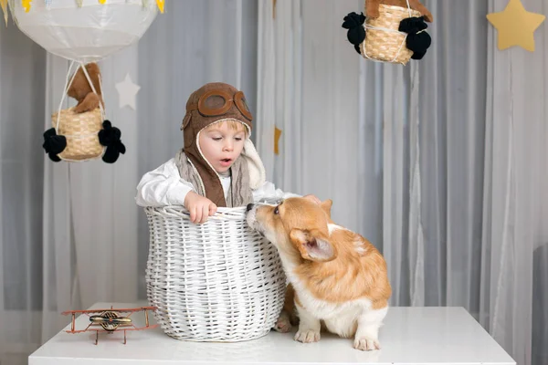Leksaksbarn Och Hund Pojke Och Valp Leker Tillsammans Hemma Studioshot — Stockfoto