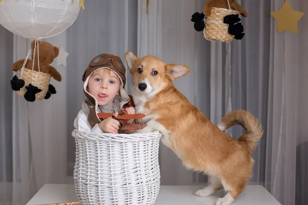 Leksaksbarn Och Hund Pojke Och Valp Leker Tillsammans Hemma Studioshot — Stockfoto