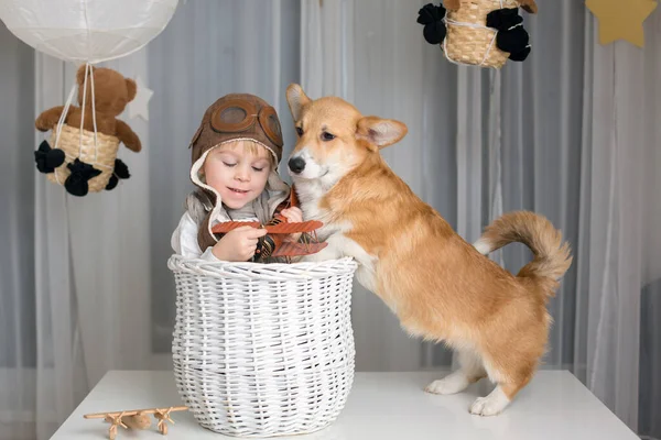 Ребенок Собака Мальчик Щенок Играющие Вместе Дома Студийные Съемки — стоковое фото