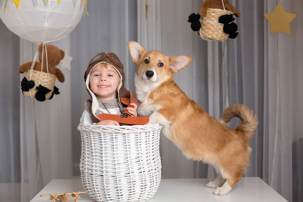 Leksaksbarn Och Hund Pojke Och Valp Leker Tillsammans Hemma Studioshot — Stockfoto