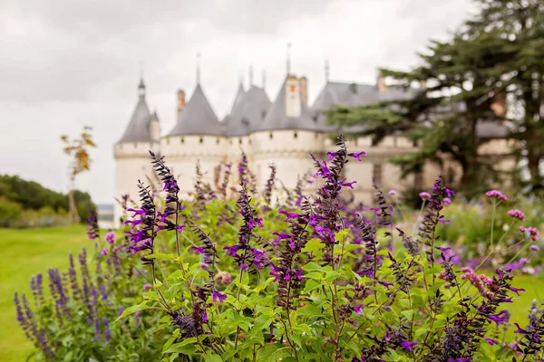 Chaumont Στο Κάστρο Loire Chaumont Κάστρο Στη Γαλλία Ευρώπη — Φωτογραφία Αρχείου