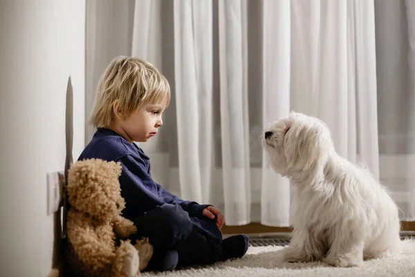 Angry Little Toddler Child Blond Boy Sitting Corner Teddy Bear — Stock Photo, Image