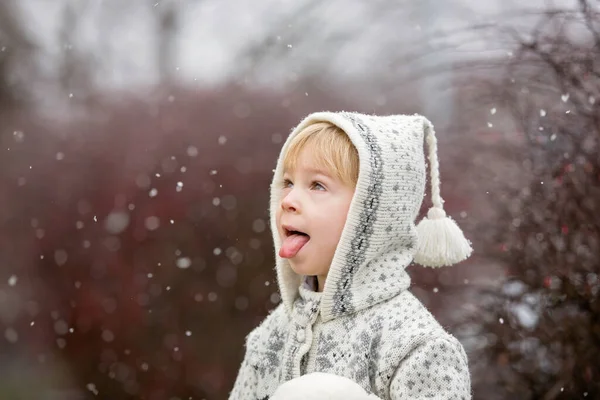 Ребенок Мальчик Вязаном Свитере Ручной Работы Играет Парке Первым Снегом — стоковое фото