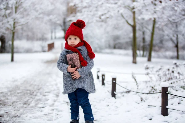 Vackert Småbarn Söt Pojke Leker Snöig Park Vintertid Molnig Dag — Stockfoto