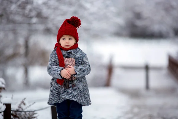 Criança Bonita Menino Bonito Jogando Parque Nevado Tempo Inverno Dia — Fotografia de Stock