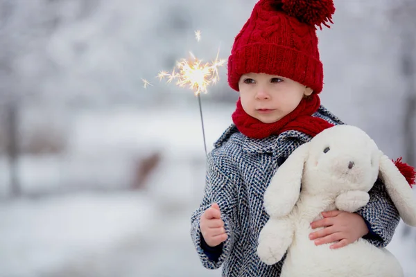 美しい幼児の子供 かわいい男の子 雪の公園で遊ぶ冬の時間 曇りの日 — ストック写真