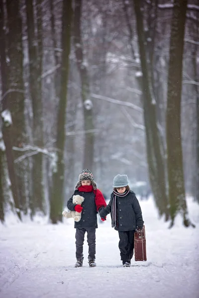 Két Gyerek Testvérek Sétálnak Erdőben Egy Régi Bőrönddel Télen Hóban — Stock Fotó