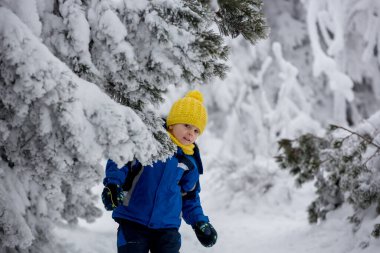 Tatlı mutlu çocuk, ormanın derinliklerinde karda oynuyor.