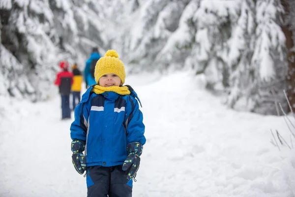 Lieve Gelukkige Kinderen Broers Spelend Diepe Sneeuw Het Bos Bevroren — Stockfoto