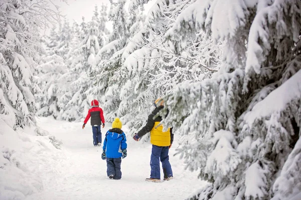 Süße Glückliche Kinder Brüder Die Tiefen Schnee Wald Spielen Frostige — Stockfoto