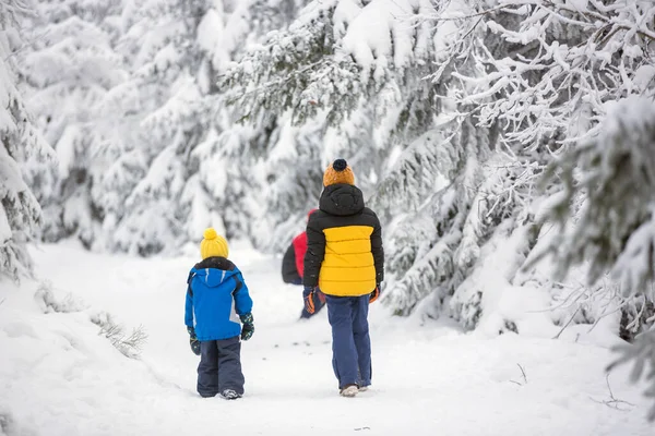 Doce Crianças Felizes Irmãos Brincando Neve Profunda Floresta Árvores Foscas — Fotografia de Stock