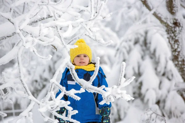 Doux Enfant Heureux Jouant Dans Neige Profonde Dans Forêt — Photo