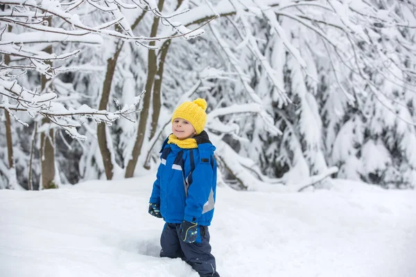 Γλυκό Χαρούμενο Παιδί Που Παίζει Βαθύ Χιόνι Στο Δάσος — Φωτογραφία Αρχείου