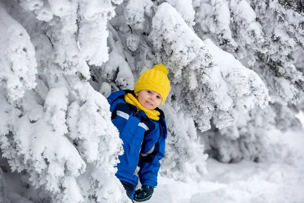 Sött Lyckligt Barn Leker Djup Snö Skogen — Stockfoto