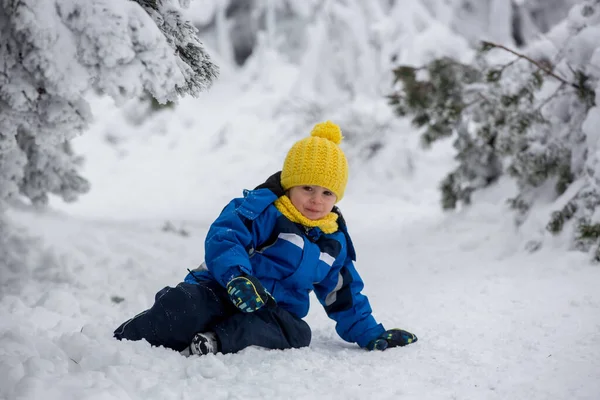 Sött Lyckligt Barn Leker Djup Snö Skogen — Stockfoto