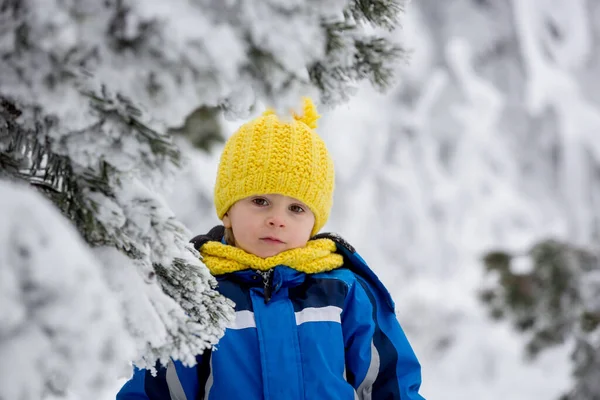 幸せな子供は 森の深い雪の中で遊んで — ストック写真