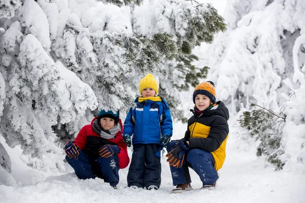 Doce Criança Feliz Brincando Neve Profunda Floresta — Fotografia de Stock