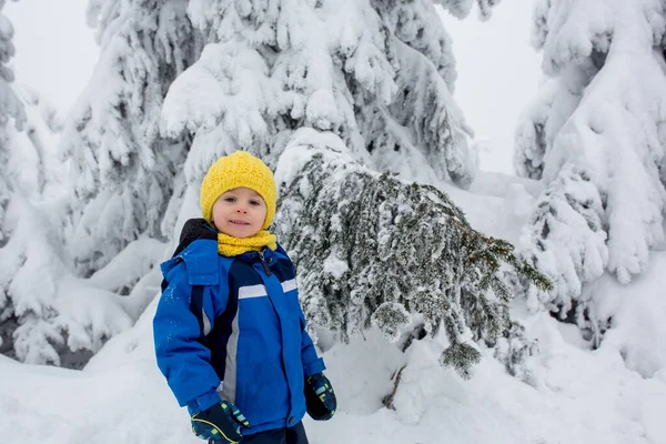 Doce Criança Feliz Brincando Neve Profunda Floresta — Fotografia de Stock