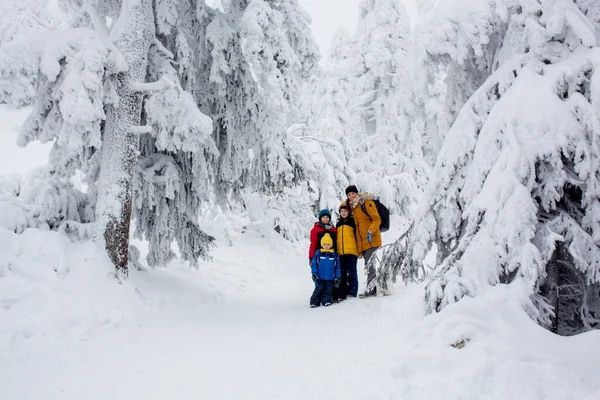 快乐的家庭 有三个孩子和小狗 冬天爬山 美丽的冬季森林 — 图库照片