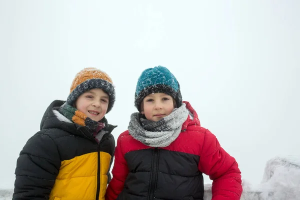 Sweet Happy Children Brothers Playing Deep Snow Forest Frosted Trees — Stock Photo, Image