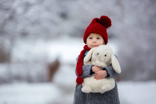 美しい幼児の子供 かわいい男の子 雪の公園で遊ぶ冬の時間 曇りの日 — ストック写真