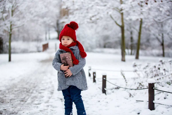 Gyönyörű Kisgyermek Aranyos Fiú Játszik Havas Parkban Téli Idő Felhős — Stock Fotó