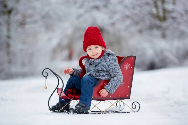 Mooi Peuter Kind Leuke Jongen Spelen Snowy Park Winter Tijd — Stockfoto