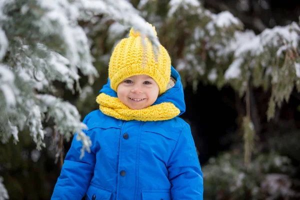 Menino Criança Doce Brincando Com Neve Playground Brincando Com Neve — Fotografia de Stock