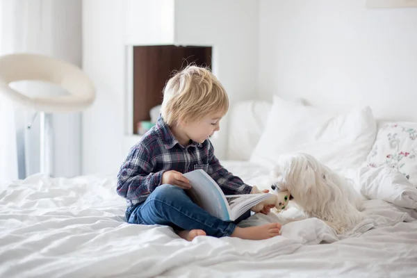 かわいい幼児の子供と子犬の犬 ベッドの上に横たわって 一緒に本を読んで 幸せな家族の時間 — ストック写真