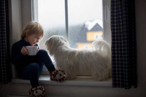 蹒跚学步的孩子 坐在窗前 看着雪花飘落 — 图库照片