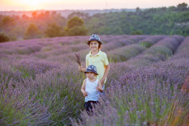 Sevimli küçük çocuk, güzel çocuk, gün batımında lavanta tarlasında oynuyor.