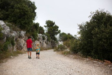 İki çocuk, erkek kardeşler, sisli bir yaz gününde dağlarda yürüyüş yapıyorlar, el ele tutuşuyorlar, bir yolda yürüyorlar. 