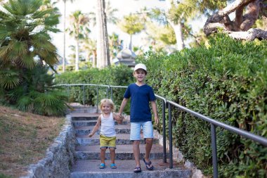 Fransa 'da küçük bir patikada yürüyen çocuklar açık havada oynuyorlar.