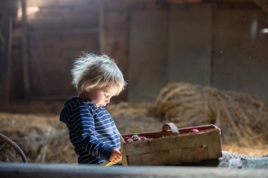 Küçük sarışın çocuk, tavan arasında kitap okuyor, atmosferi güzel, yanında çilek var.