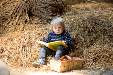 Küçük sarışın çocuk, tavan arasında kitap okuyor, atmosferi güzel, yanında çilek var.