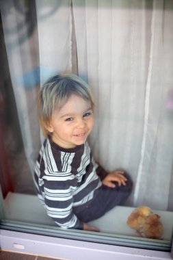 Aile, yavruları kucağında tutan çocuklar, pencerenin arkasında, evde, koronavirüs yüzünden karantinada.