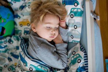 Küçük çocuk, tatlı sarışın çocuk, öğleden sonra bebek yatağında, yanında küçük bir Malta köpeği ile uyuyor.