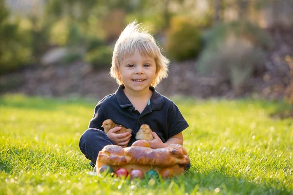 Güzel Çocuk Gün Batımında Bahçede Tatlı Ekmek Yumurta Yiyor Etrafında — Stok fotoğraf