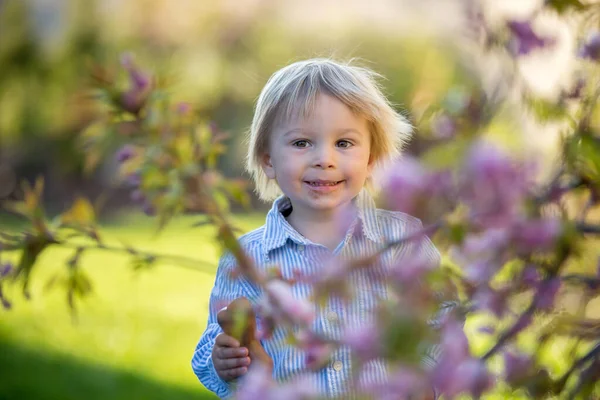 Piccolo Bambino Mangiare Coniglietto Cioccolato Giardino Tramonto Uova Pasqua Intorno — Foto Stock