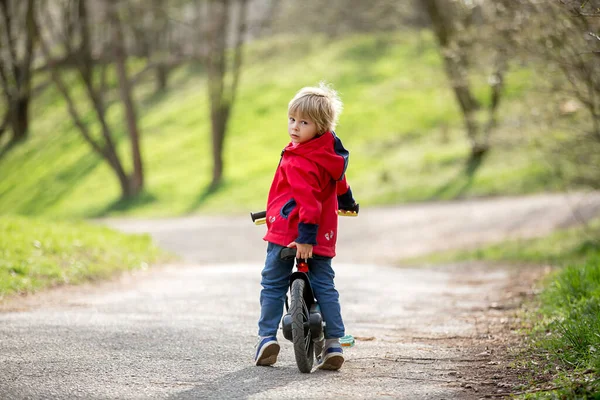 Mały Chłopiec Uczący Się Jeździć Rowerze Parku Wiosna — Zdjęcie stockowe