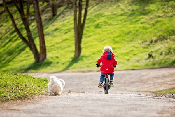 Маленький Хлопчик Навчиться Їздити Велосипеді Парку Весна — стокове фото