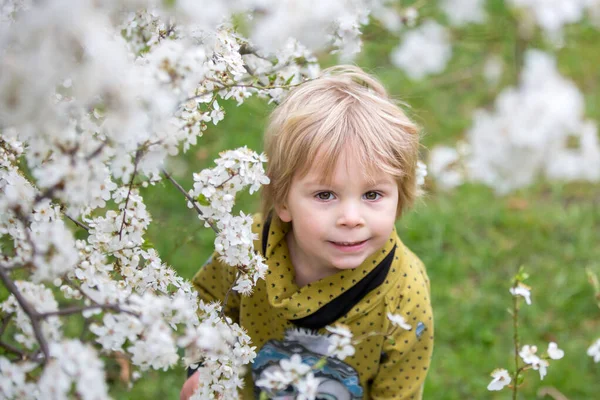 Tatlı Sarışın Çocuk Çocuk Bahar Zamanı Kar Yağarken Çiçek Açan — Stok fotoğraf