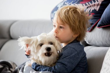 Küçük çocuk, evde küçük bir köpeğe sarılıyor, kanepede oturuyor.