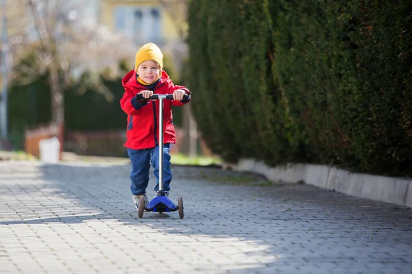 Kind Kleinkind Rollerfahren Park Frühling — Stockfoto