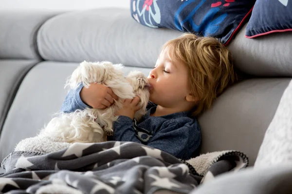Peuter Kind Knuffelen Kleine Maltezer Hond Thuis Zitten Bank — Stockfoto