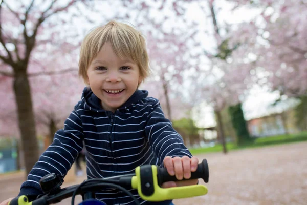 Schattig Peuter Kind Jongen Paardrijden Fiets Roze Bloeiende Sacura Tuin — Stockfoto